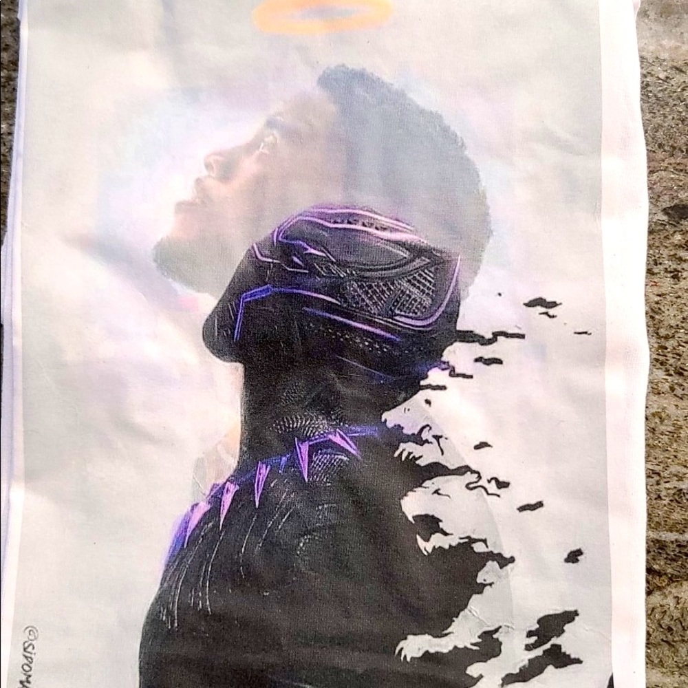 Black Panther/ Chadwick Bowman